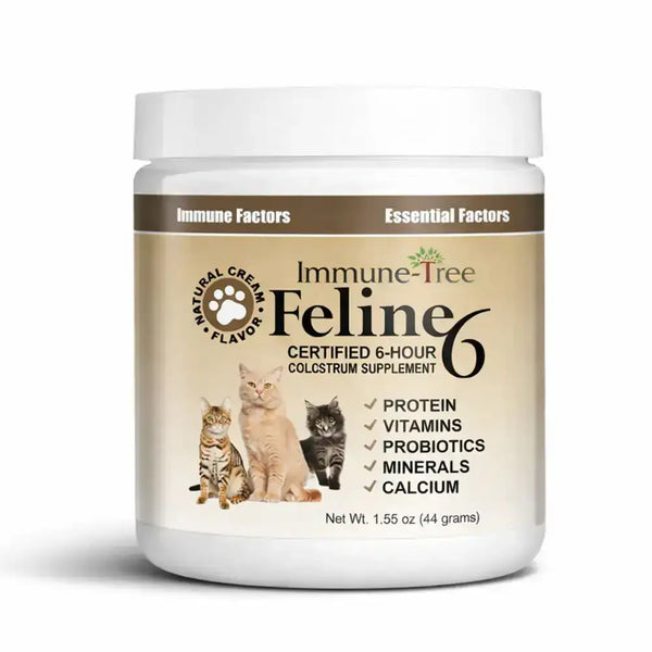 Feline6 Colostrum Supplement image 0