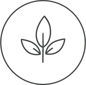 Icon of a leaf inside a circular border