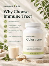 Colostrum6 Powder (Grass-Fed) | 100% Bovine Colostrum Immune Support, Gut Health & Vitality Supplement | 2.2 Lbs