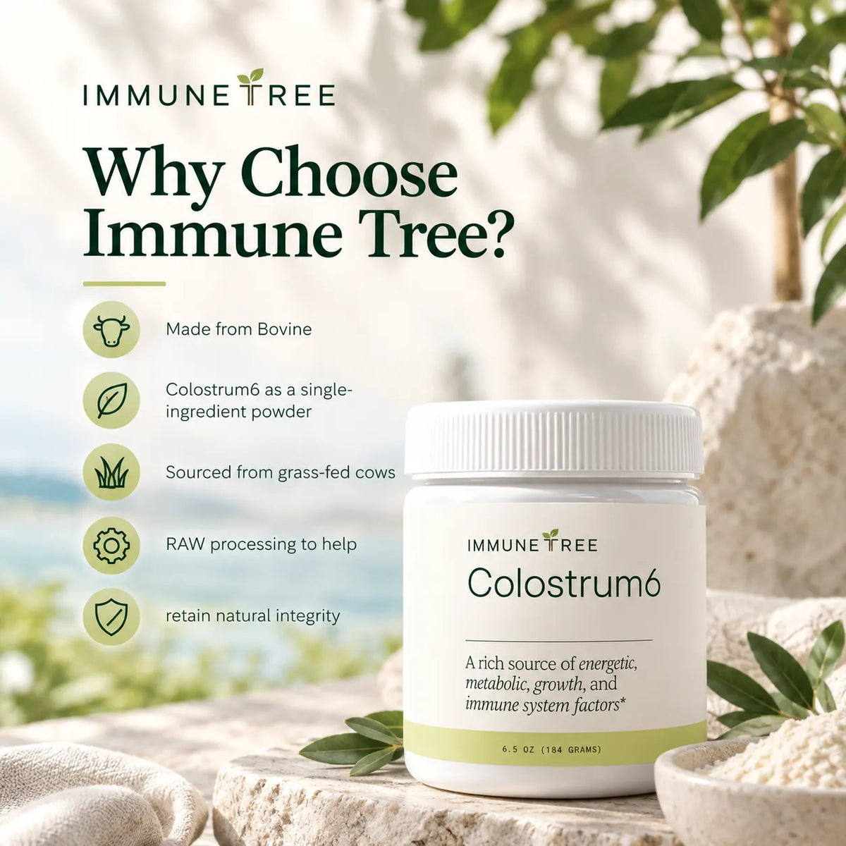 Colostrum6 Powder (Grass-Fed) | 100% Bovine Colostrum Immune Support, Gut Health & Vitality Supplement | 6.5 oz