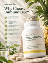Immune Tree Colostrum6 pineapple chewable tablets supplement product image showing a Why Choose Immune Tree infographic with the bottle on a stone surface outdoors with pineapple and plants, listing seven reasons including cold-pressed colostrum to preserve natural bioactive compounds, made with clean responsibly sourced ingredients, Non-GMO Gluten Free and Hormone Free, BSE Free Antibiotic Free and Pesticide Free, 100 percent tested organic ingredients, proudly made in the USA, and trusted brand focused on