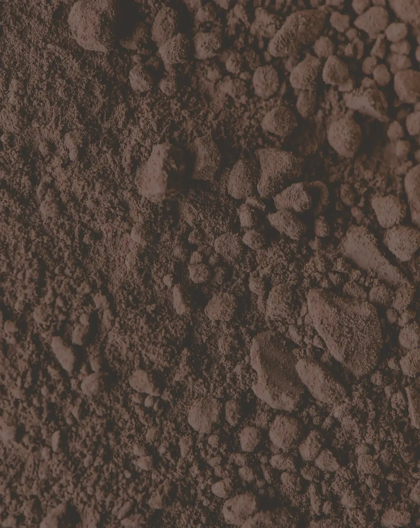 Close-up of brown chocolate protein powder with detail