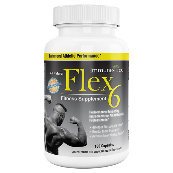 Flex6-Fitness_2
