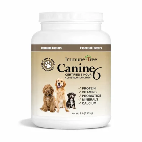 Canine6 | Natural Beef and Bacon Flavored Colostrum For Dogs And Puppies | 2lb